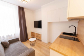 New modern and cozy studio apartment in the Old Town Vilnius